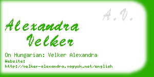 alexandra velker business card